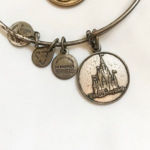 Alex and Ani Disney and B bundle